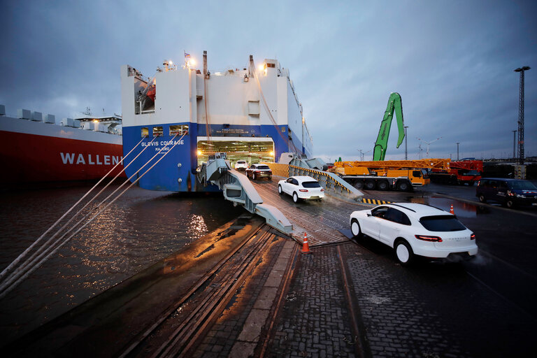 Niche Motor Sales Exporting